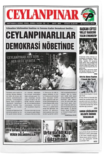 Manşet görseli: Ceylanpınar